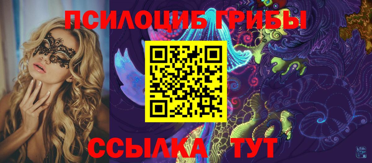 Псилоцибиновые грибы Psilocybe  Вход с VPN  Красногорск 